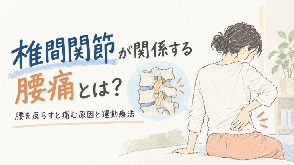 椎間関節が関係する腰痛とは？｜腰を反らすと痛む原因と運動療法